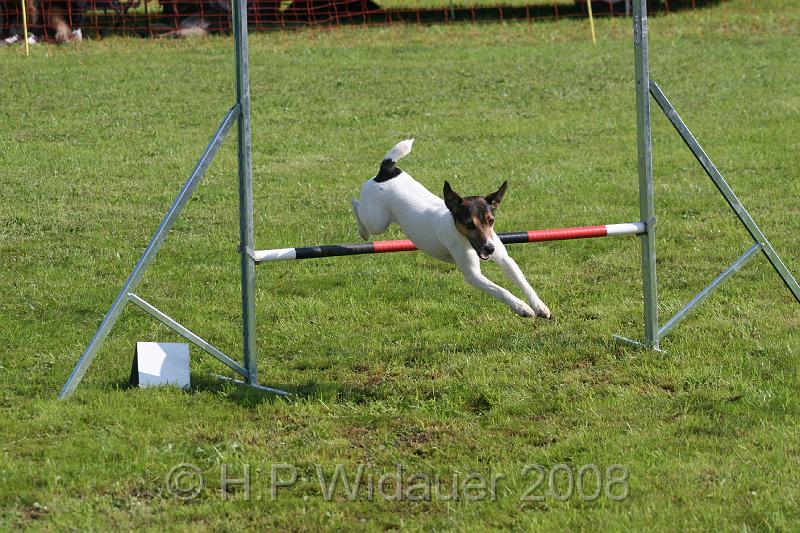 jubil.lusten. 160.jpg